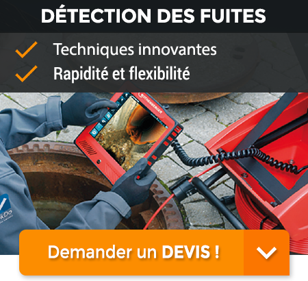 Utilisation Caméra de détection de fuite d'eau, Expertis-Detect